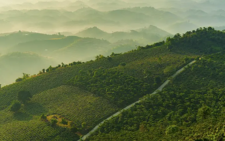 Green valley slopes of Araku