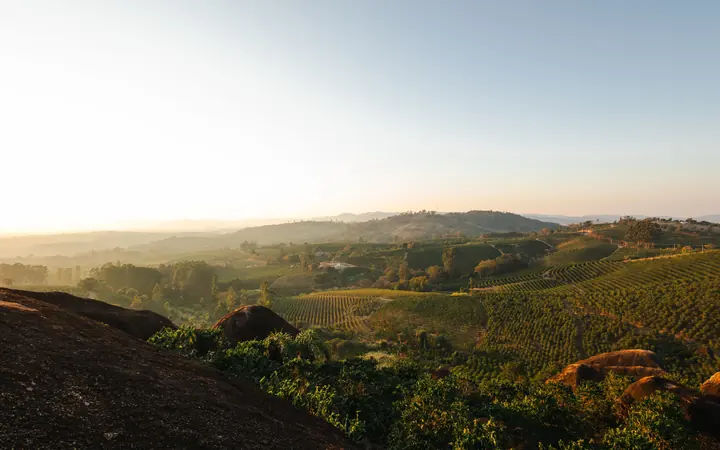 Sunrise over rolling coffee farmland in Brazil